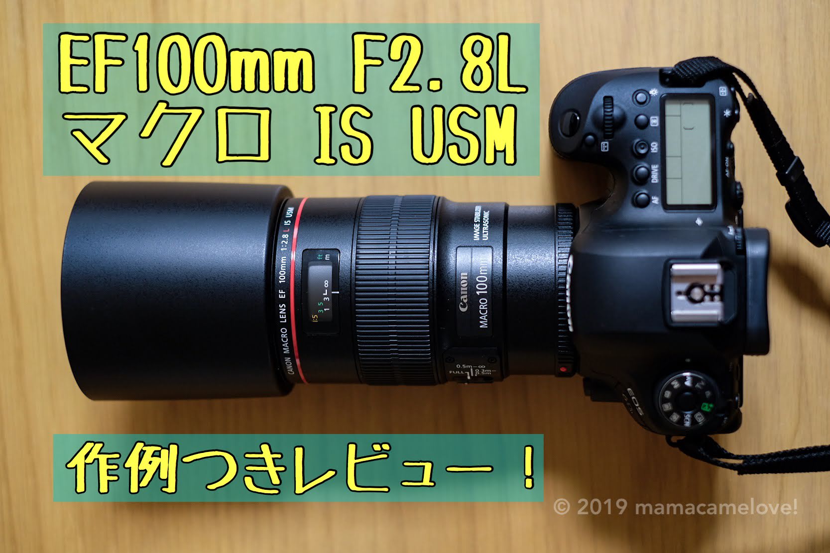 Canon EF100F2.8Lマクロ IS USM