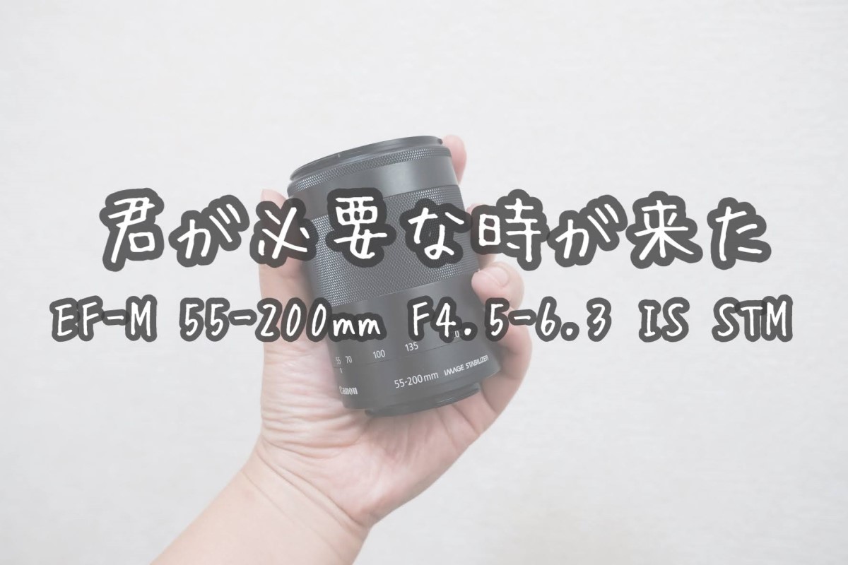 新作定番人気 キヤノン EF-M55-200mm F4.5-6.3 IS STM シルバー ：カメラのキタムラ