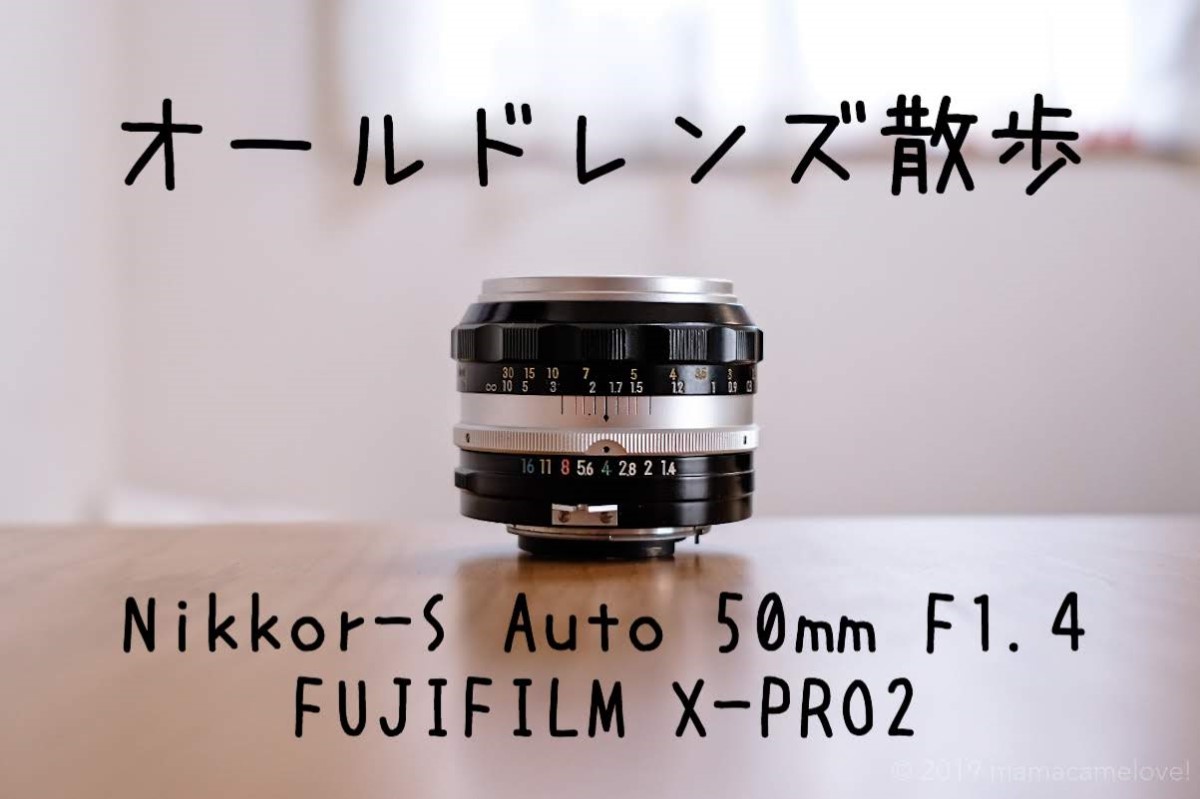 オールドレンズ散歩【Nikkor-S Auto 50mm F1.4×FUJIFILM X-Pro2】作例 